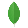 MongoDB